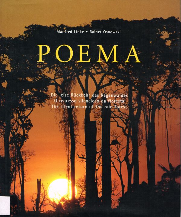POEMA, o regresso silencioso da floresta